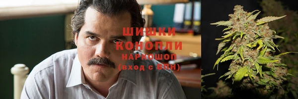шишки Алзамай