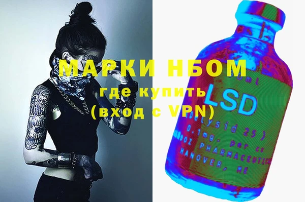 шишки Алзамай