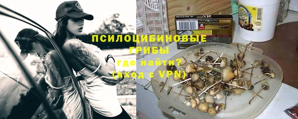 шишки Алзамай